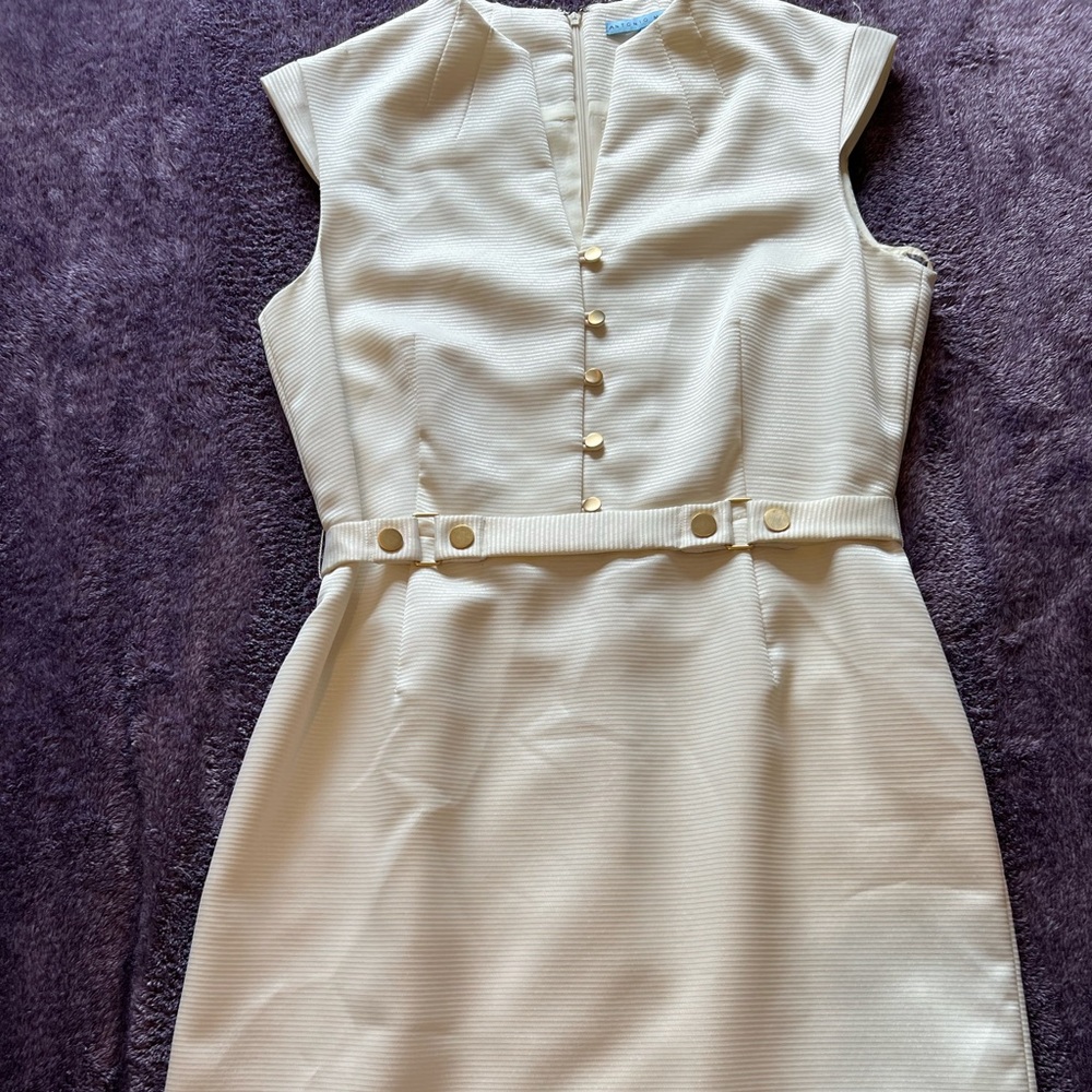 Cream Antonio Melani Dress. Size 10.